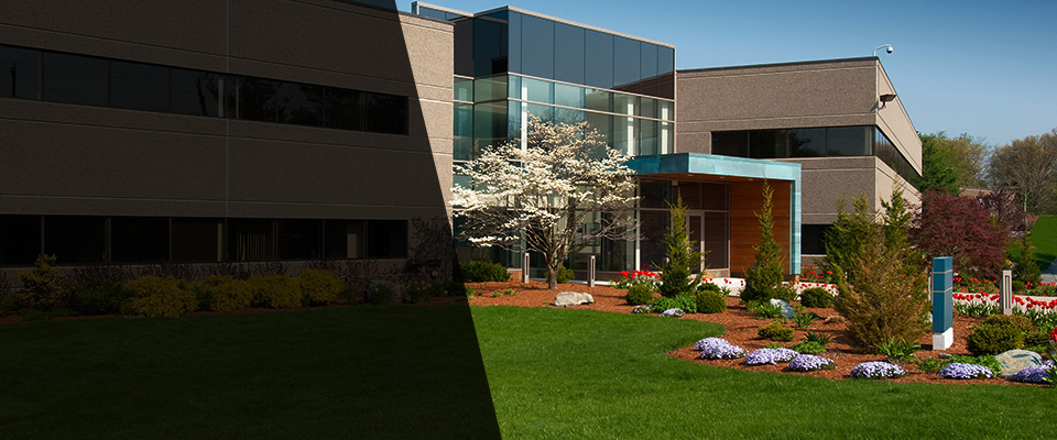 Paoli Landscapers