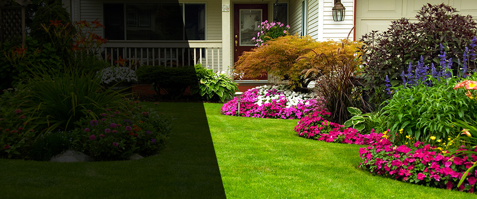 Paoli Landscapers